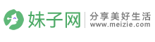 /class/meizie/img/logo.png